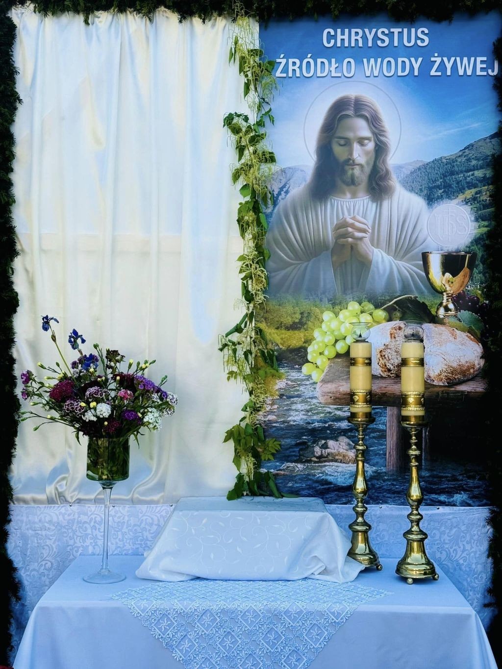 444489276_2311296762535689_4943583756306587879_n