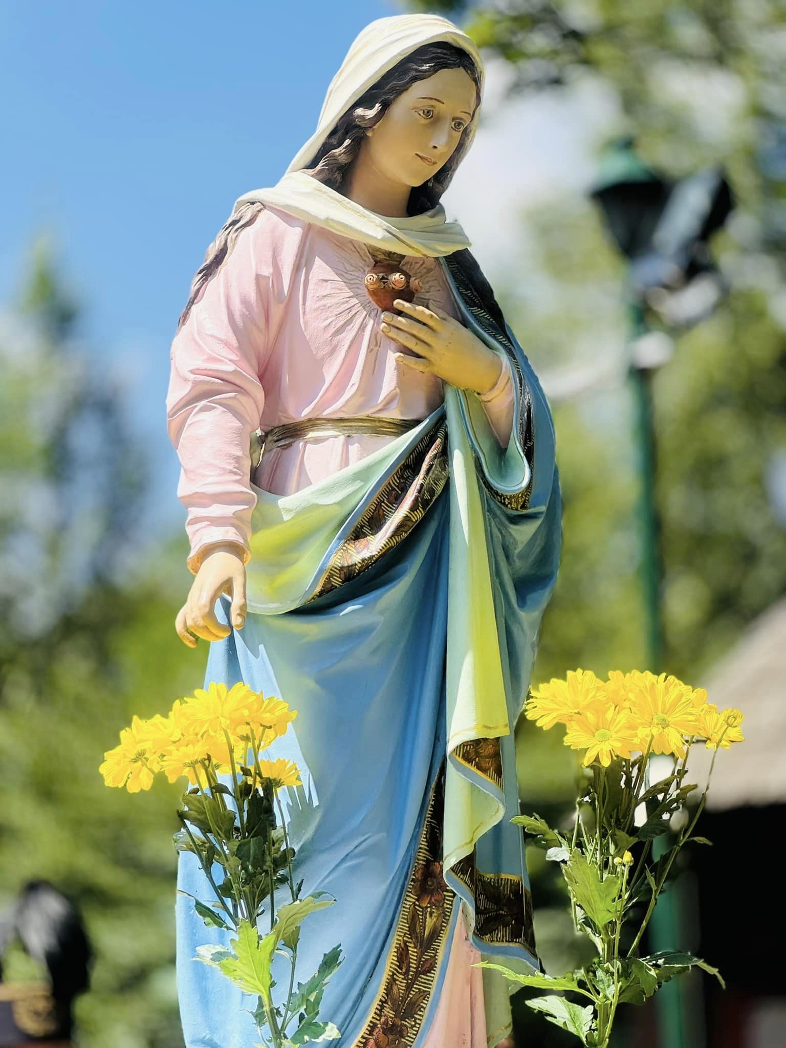 449420366_2332935487038483_2052215793712346190_n