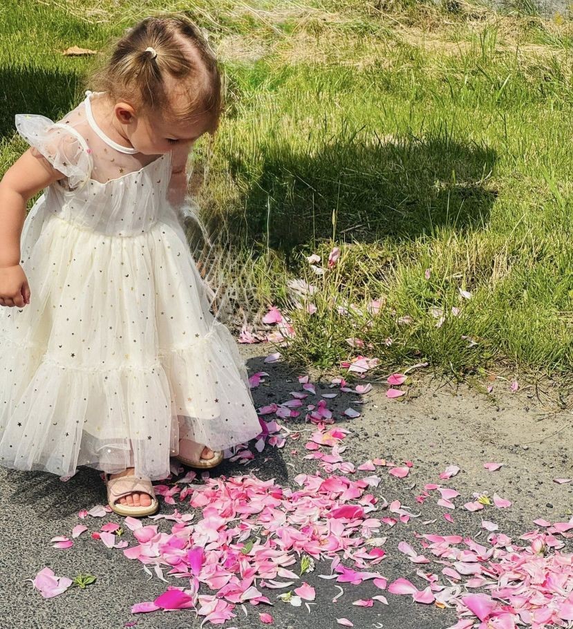 508528718_2648202145511814_1071694714191555958_n